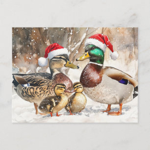 Tarjeta postal de la familia Duck