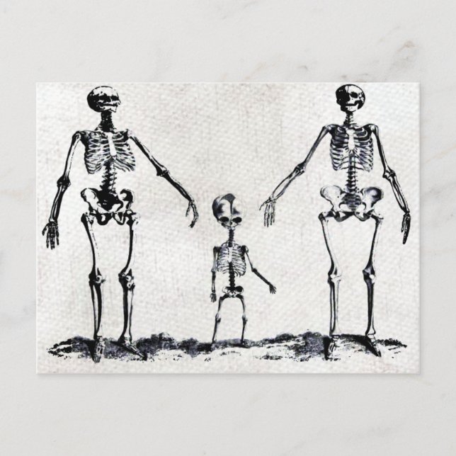 Tarjeta postal de la familia Skeleton (Anverso)