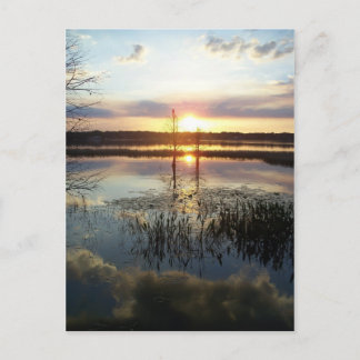 Tarjeta postal de la Florida 172 Sunset