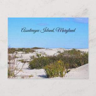 Tarjeta Postal de la Isla Assateague