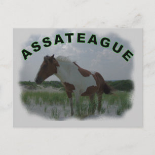 Tarjeta postal de la isla de Assateague