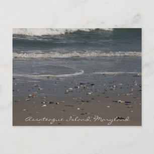 Tarjeta postal de la isla de Assateague