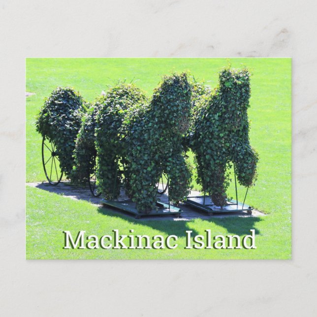 Tarjeta postal de la isla Mackinac Michigan (Anverso)