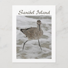 Tarjeta postal de la isla Sanibel Piper