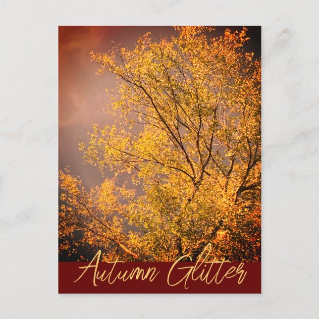 Tarjeta postal de la luz de otoño resplandeciente (Anverso)