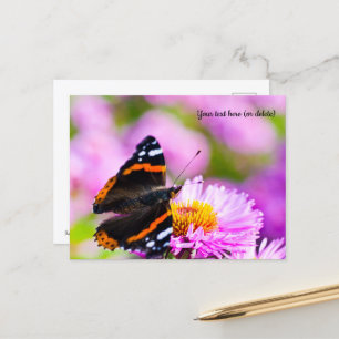 Tarjeta postal de la mariposa almirante rojo