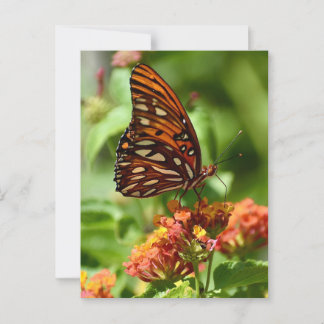 Tarjeta postal de la mariposa Gulf Fritillary
