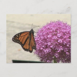 Tarjeta postal de la mariposa monarca