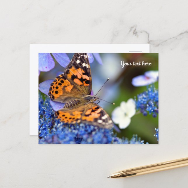 Tarjeta postal de la mariposa Painted Lady (Anverso/Reverso In Situ)