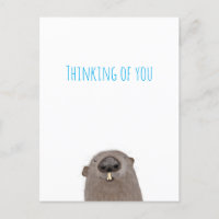 Tarjeta postal de la marmota pensando en ti