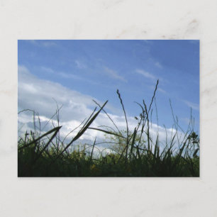 Tarjeta postal de la naturaleza