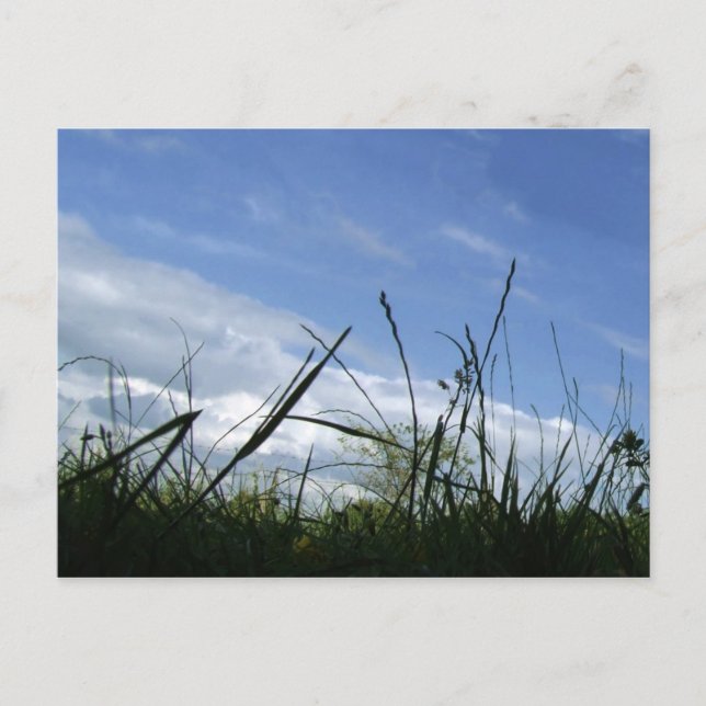 Tarjeta postal de la naturaleza (Anverso)