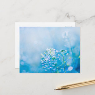 Tarjeta postal de la naturaleza de flor silvestre