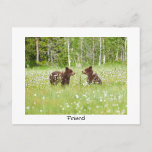 Tarjeta postal de la naturaleza en Finlandia
