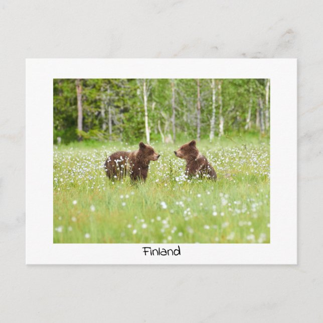 Tarjeta postal de la naturaleza en Finlandia (Anverso)