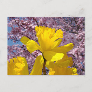 Tarjeta postal de la naturaleza floral de primaver