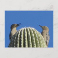 Tarjeta postal de la pareja de pájaros carpinteros