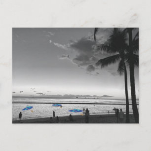 Tarjeta postal de la playa de Hawái y palmeras