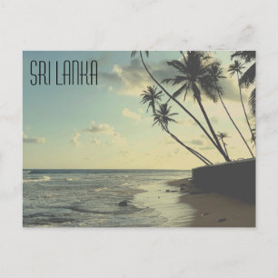 Tarjeta postal de la playa de tortugas de Sri Lank