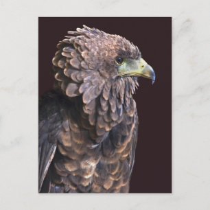 Tarjeta postal de la reina Alien