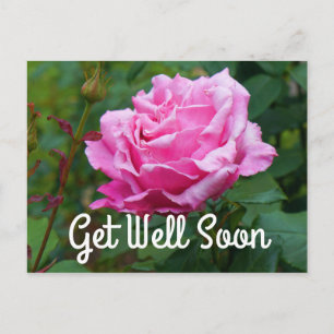 Tarjeta postal de la rosa del Día de los Caídos #2