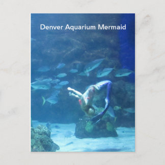 Tarjeta postal de la sirena del acuario de Denver