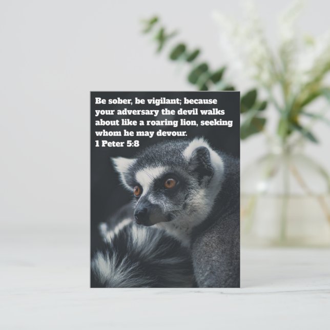 Tarjeta Postal de la Suricata Cristiana (Anverso de pie)