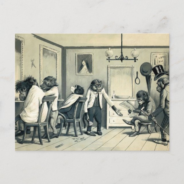 Tarjeta postal de la tienda de artículos para mono (Anverso)