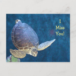 Tarjeta postal de la tortuga marina (añada tu prop