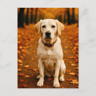 Tarjeta Postal de Labrador de Otoño Bosque de Otoñ