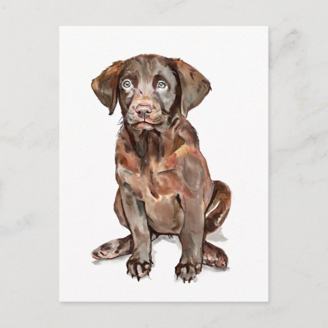 Tarjeta Postal de Labrador Retriever (Anverso)