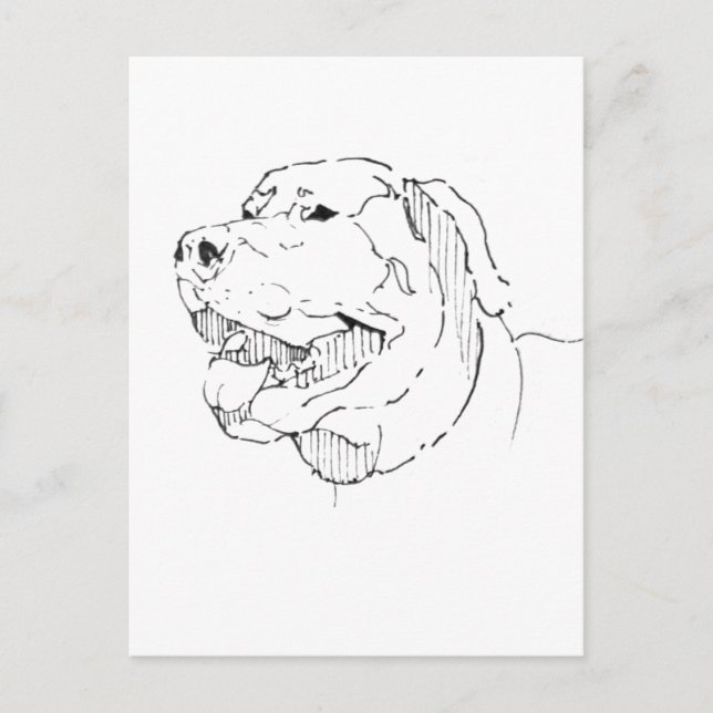 Tarjeta Postal de Labrador Retriever – Tinta Dibuj (Anverso)