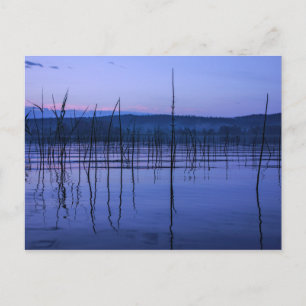 Tarjeta postal de lago sereno y brumoso después de