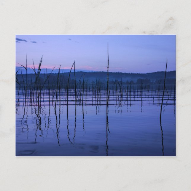 Tarjeta postal de lago sereno y brumoso después de (Anverso)