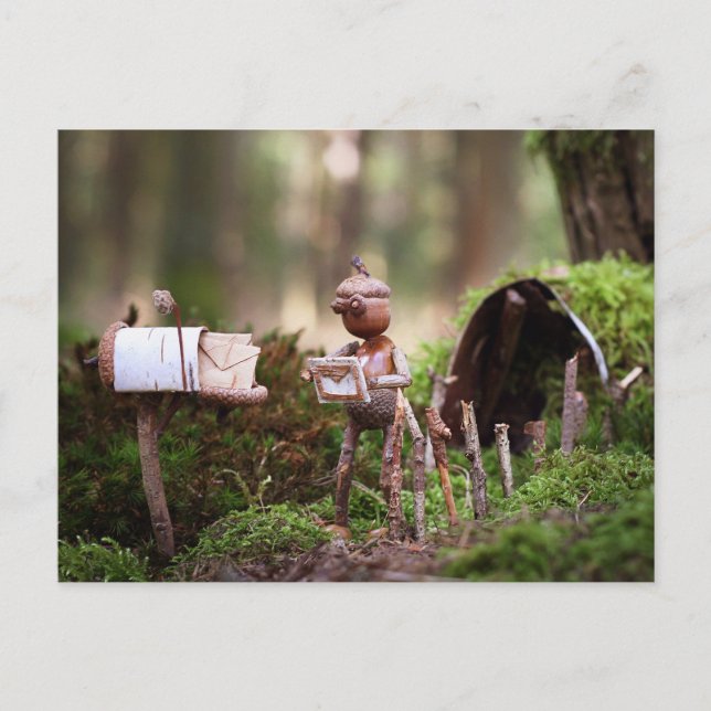 Tarjeta postal de lectura de aulas de maíz - posta (Anverso)