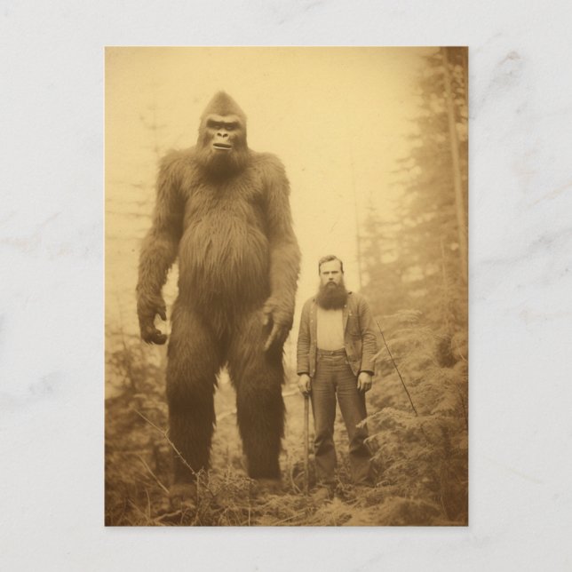 Tarjeta postal de leñador Sasquatch (Anverso)