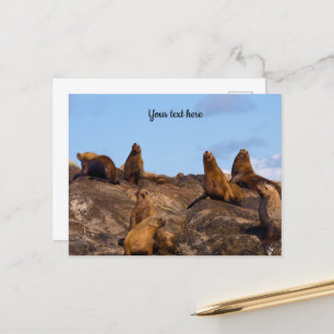Tarjeta postal de león marino
