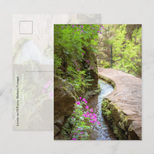 Tarjeta postal de Levada das 25 Fontes Madeira