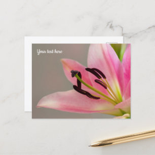 Tarjeta postal de lirio rosa