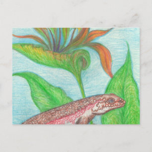 Tarjeta postal de Lizzzard