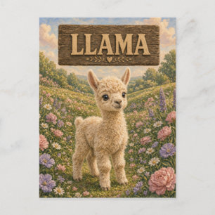 Tarjeta Postal de Llama Bebé Lindo Libro de Cuento