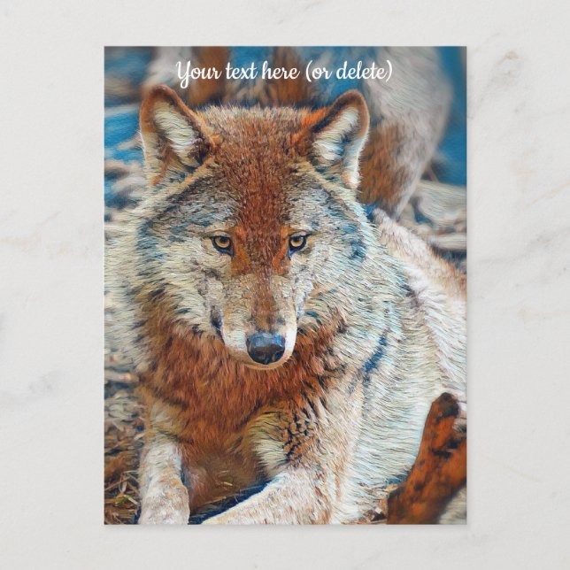 Tarjeta postal de lobo (Anverso)