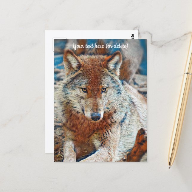 Tarjeta postal de lobo (Anverso/Reverso In Situ)