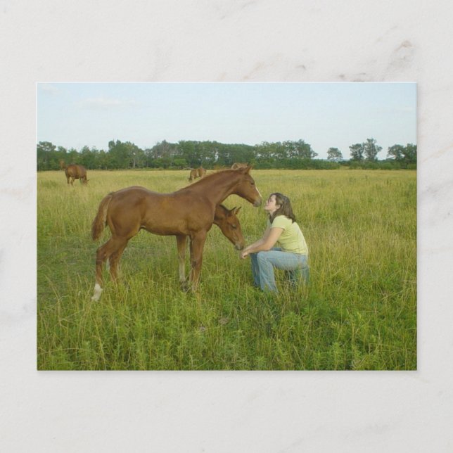 Tarjeta postal de los espíritus de cambio (Anverso)