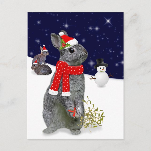 Tarjeta postal de los kits de navidades (Anverso)