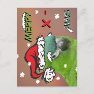 Tarjeta postal de los Navidades de Lorikeet Santa