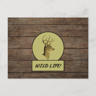Tarjeta postal de madera oscura de Buck Head
