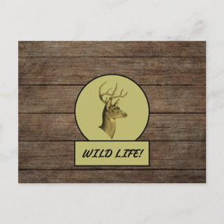 Tarjeta postal de madera oscura de Buck Head
