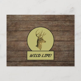 Tarjeta postal de madera oscura de Buck Head