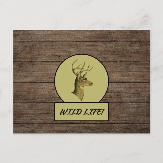 Tarjeta postal de madera oscura de Buck Head (Anverso)